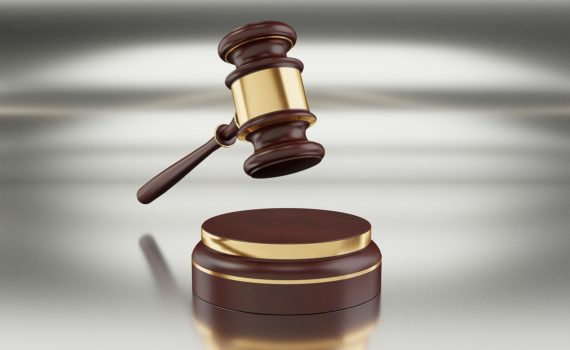 Announced Amendments to the Law on Enforcement and Security