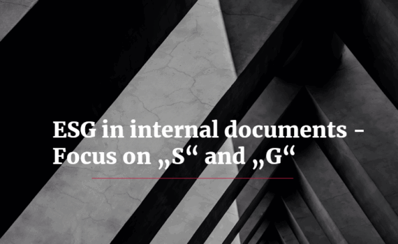 Webinar “ESG in Company Bylaws and Internal Policies”