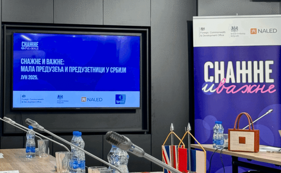 Snažne i važne: Program za žene i male biznise